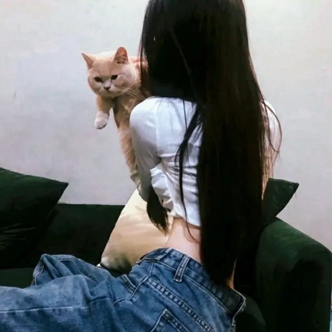 玩命爱个姑娘